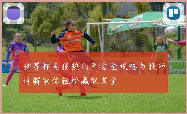 世界杯竞猜热门平台全攻略与技巧详解助你轻松赢取奖金