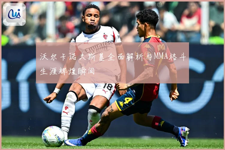 沃尔卡诺夫斯基全面解析与MMA格斗生涯辉煌瞬间